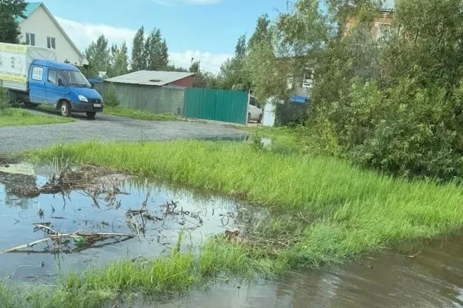 Дом пришлось обесточить: тюменцы рассказали, как ливни превратили их участки в озера