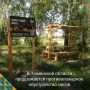 Лес должен быть безопасным