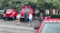 У сквера Сибирских кошек такое нам нравится!