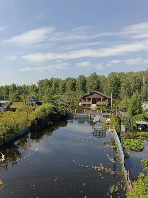 В Лесном вода захватила огороды — теперь тут можно не картошку копать, а плавать…