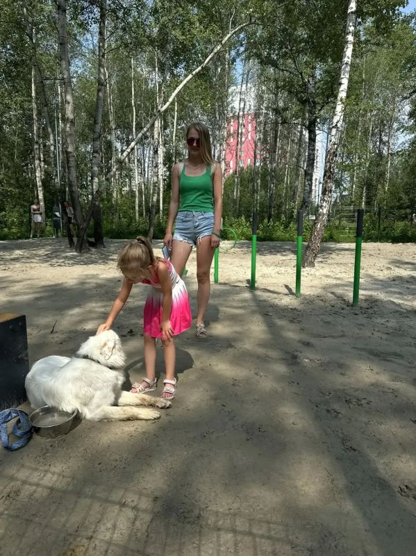 Добро пожаловать в Комарово парк для самых лучших фото веселых активностей Добро пожаловать в Комарово парк для самых лучших фото веселых активностей