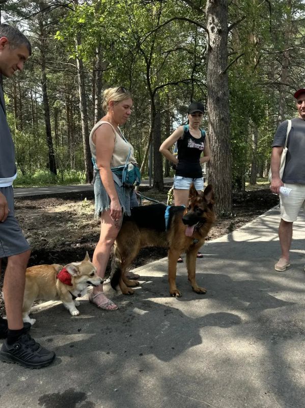 Добро пожаловать в Комарово парк для самых лучших фото веселых активностей Добро пожаловать в Комарово парк для самых лучших фото веселых активностей