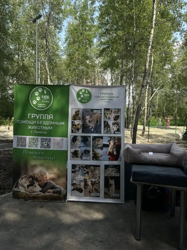 Добро пожаловать в Комарово парк для самых лучших фото веселых активностей Добро пожаловать в Комарово парк для самых лучших фото веселых активностей