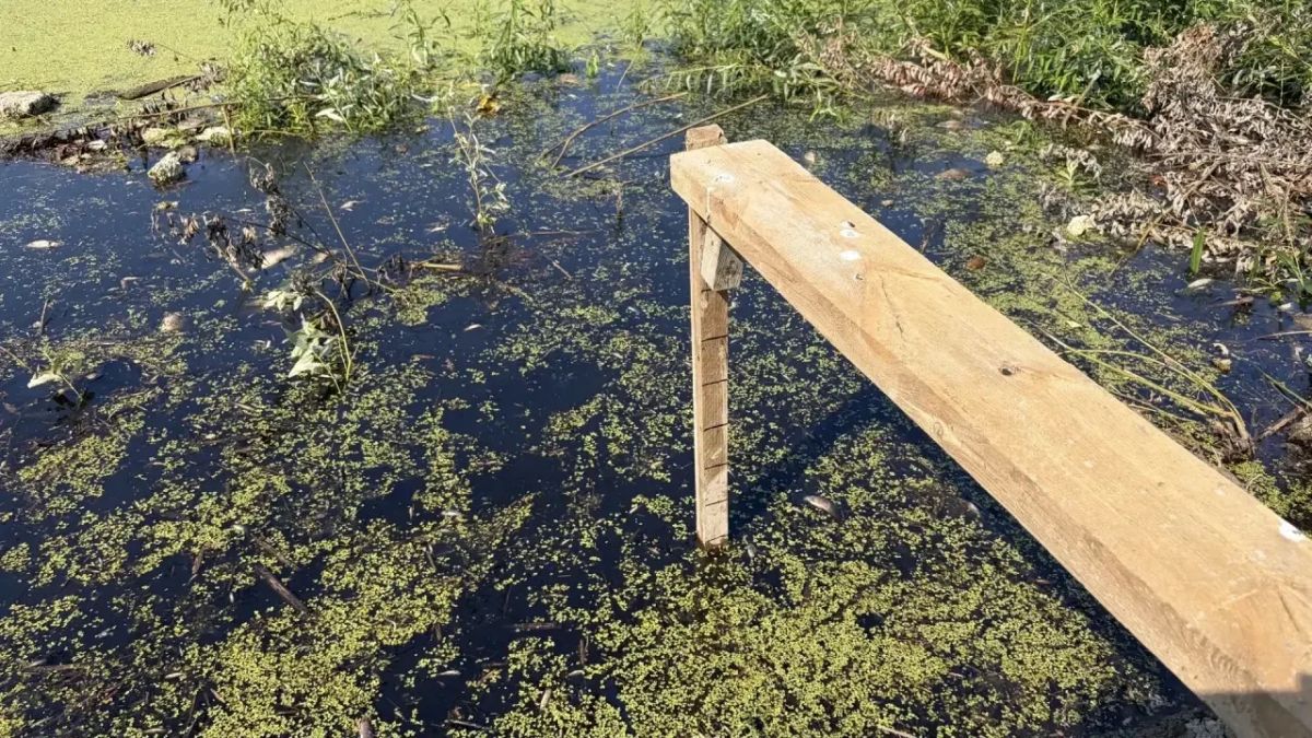 Объезд городских зон подтопления, совместно с представителями компаний «СУЭНКО» и «Россети Тюмень», провёл сегодня заместитель Главы города - Александр Ильин Объезд городских зон подтопления, совместно с представителями компаний «СУЭНКО» и «Россети Тюмень», провёл сегодня заместитель Главы города - Александр Ильин