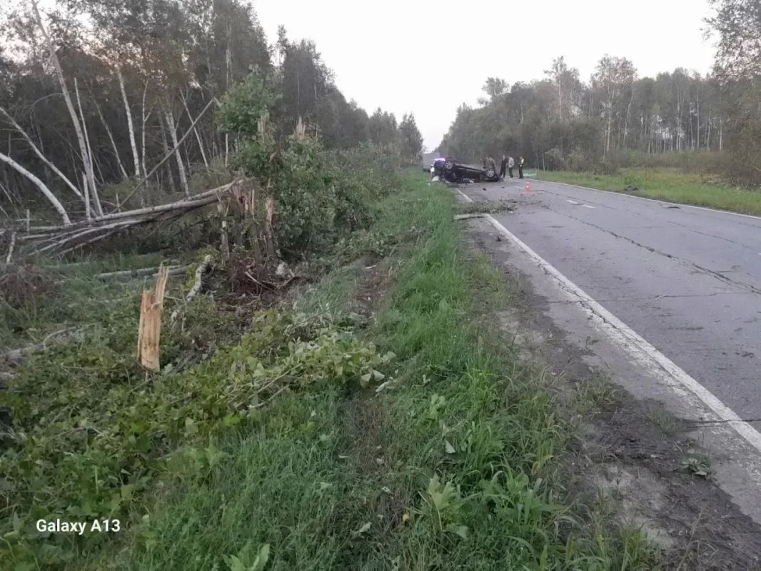 В Ялуторовском округе «Мазда» съехала в кювет и врезалась в дерево