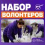 Объявлен набор добровольцев для борьбы с последствиями паводка