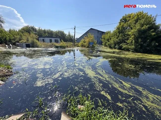 От этих фото исходит запах