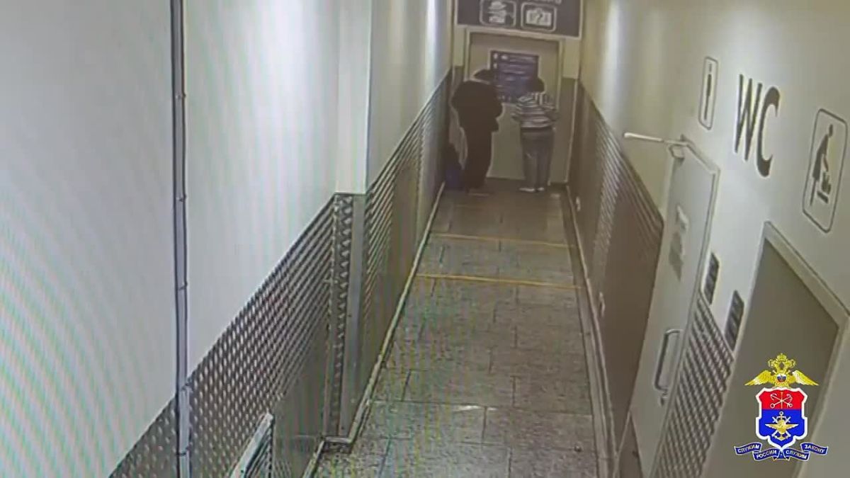 В Санкт-Петербурге транспортные полицейские раскрыли кражу женской сумки, совершенную в аэропорту Пулково