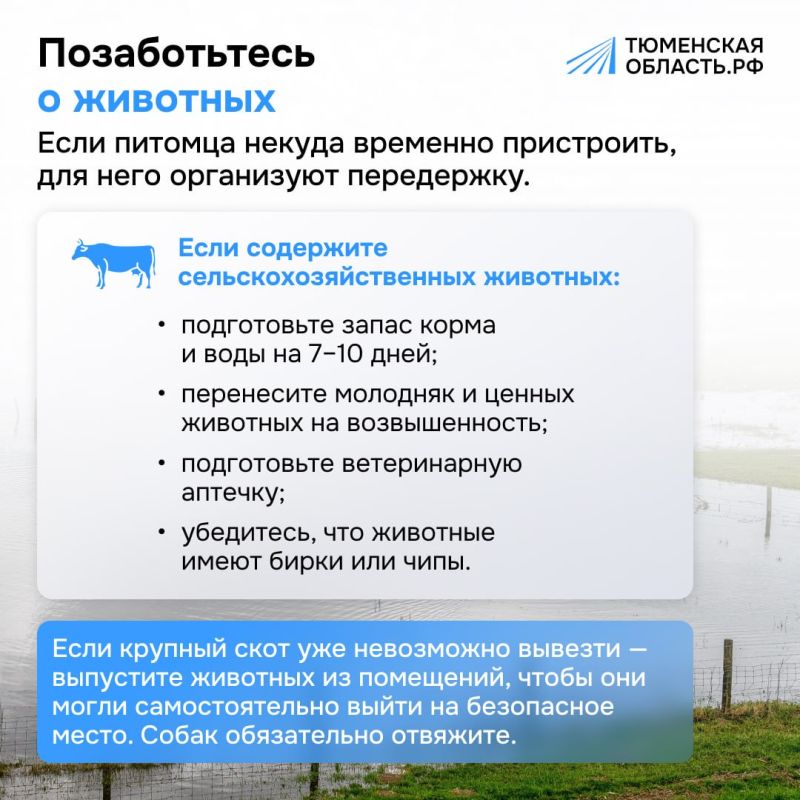 Что делать, если ваш дом оказался в зоне подтопления Что делать, если ваш дом оказался в зоне подтопления