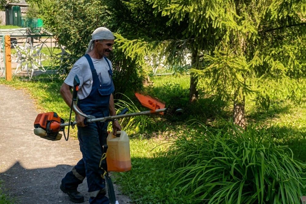 Программа временного трудоустройства в Тюменской области помогает найти своё место на рынке труда