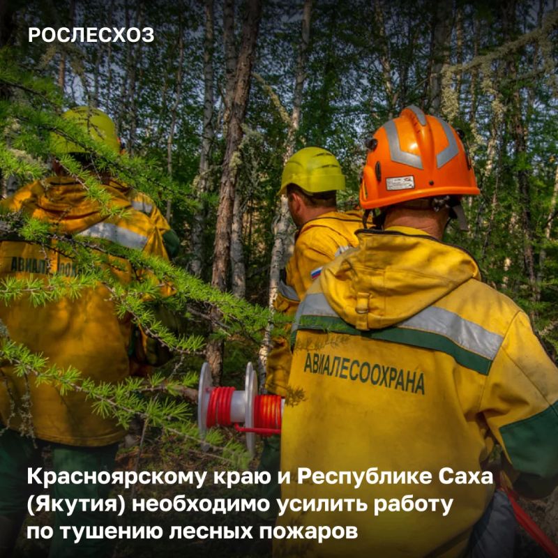 На 11:00 мск в 12 регионах страны на землях лесного фонда велись работы по тушению 259 лесных пожаров на 180,9 тыс
