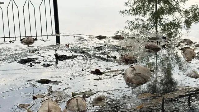 Жители Тюмени продолжают лицом к лицу сталкиваться с пугающими последствиями паводка 2026 года Жители Тюмени продолжают лицом к лицу сталкиваться с пугающими последствиями паводка 2026 года