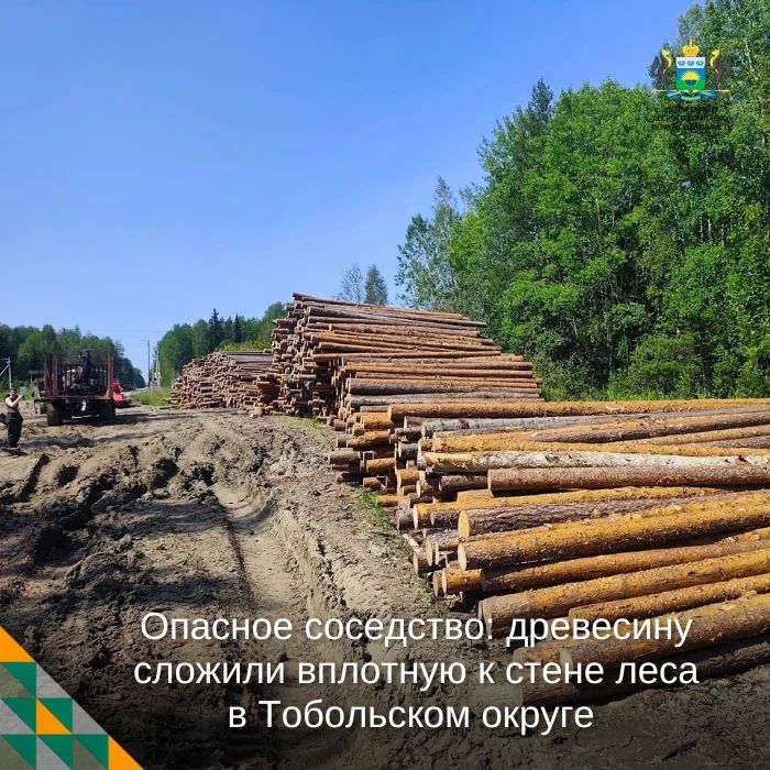 Мы уже рассказывали, что использовать земли лесного фонда без законных оснований запрещено