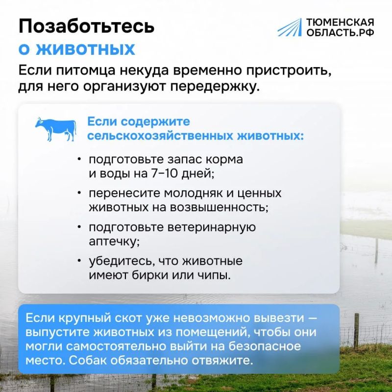 Если ваш дом находится в зоне подтопления, не откладывайте подготовку на последний момент Если ваш дом находится в зоне подтопления, не откладывайте подготовку на последний момент