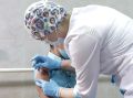 В регионе началась вакцинация жителей подтопленных территорий Тюмени и Тюменского муниципального округа от гепатита А