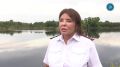 Роспотребнадзор: пробы воды с Метелевского водозабора соответствуют нормам