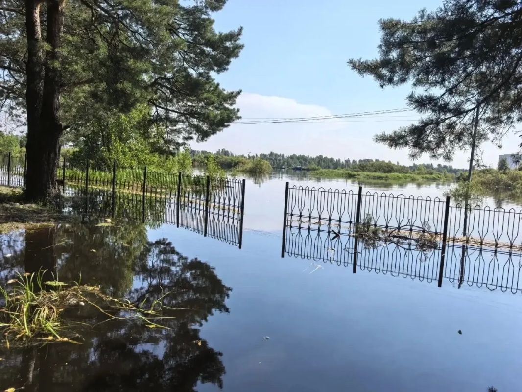 Прогулки в Гагаринском парке заканчиваются слезами Прогулки в Гагаринском парке заканчиваются слезами