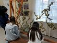Социальные гостиные: место для добрых дел и поддержки
