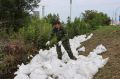 Волонтеры Тюменского медуниверситета во главе с ректором Иваном Петровым укрепляют дамбу в районе ДОКа