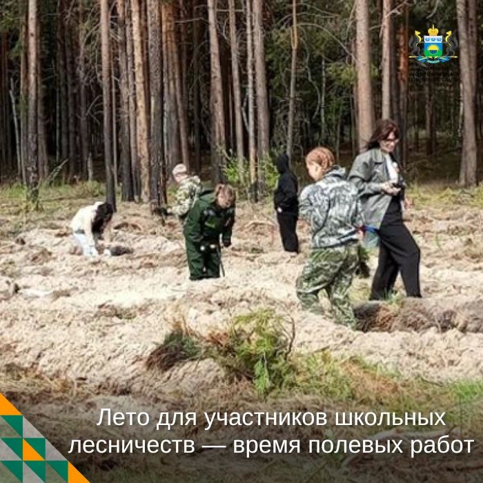 Лето для участников школьных лесничеств — время полевых работ