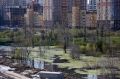 В Тюмени подтоплено 133 жилых дома и почти 2 тысячи дач