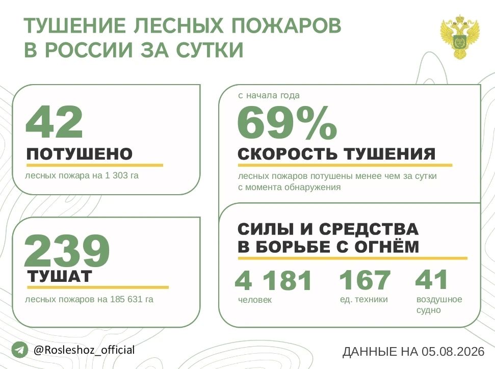 За прошедшие сутки в 10 регионах России потушили 42 лесных пожара