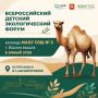 Определены финалисты IV Всероссийского детского экологического форума