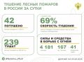 За прошедшие сутки в 10 регионах России потушили 42 лесных пожара