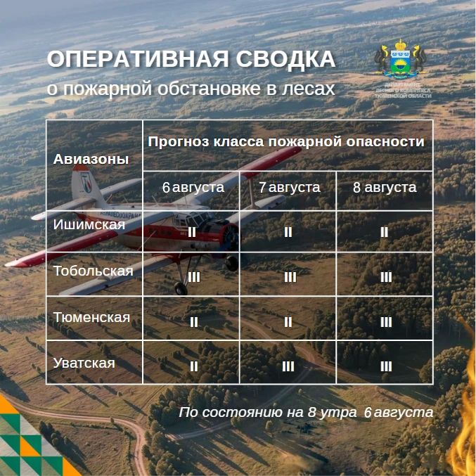 По данным региональной диспетчерской службы, на утро 6 августа в Тюменской области нет действующих лесных пожаров