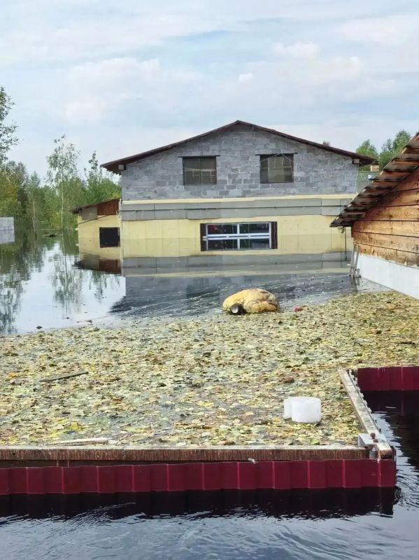 В СНТ «Лесное» вода продолжает скрывать окна и заборы домов В СНТ «Лесное» вода продолжает скрывать окна и заборы домов