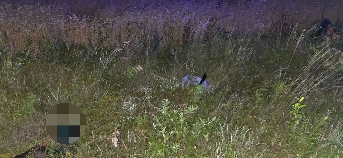 Трагедией закончилось ночное ДТП в Аромашевском округе Трагедией закончилось ночное ДТП в Аромашевском округе