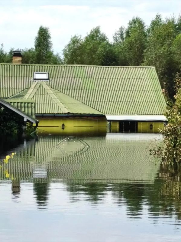 В СНТ «Лесное» вода продолжает скрывать окна и заборы домов В СНТ «Лесное» вода продолжает скрывать окна и заборы домов