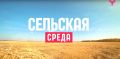 О редкой бобовой культуре, выращиваемой на тюменских полях, новом созыве Общественного совета при Департаменте АПК и крестьянском фермерском хозяйстве в Сладковском округе рассказали в программе «Сельская среда»