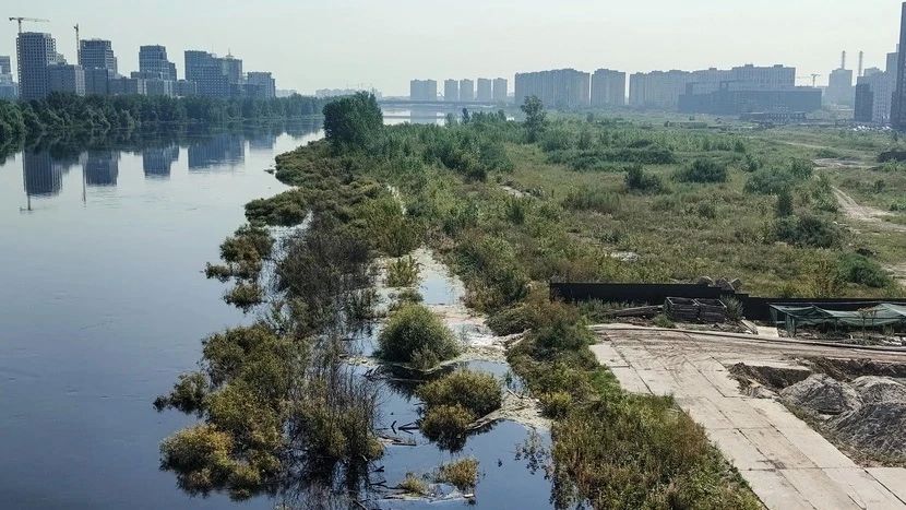 В Тюмени собрали почти тонну погибшей рыбы