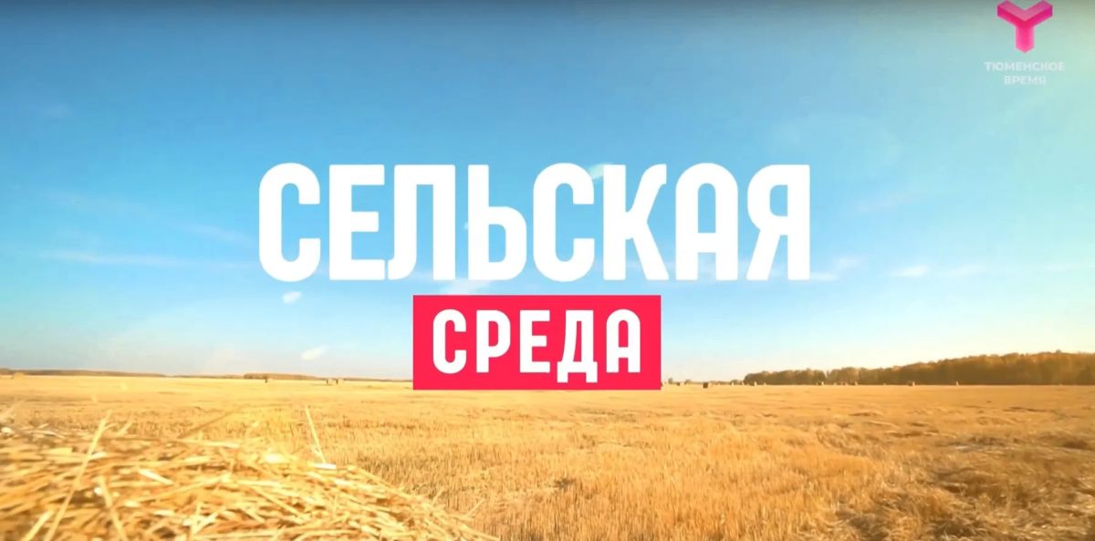 О редкой бобовой культуре, выращиваемой на тюменских полях, новом созыве Общественного совета при Департаменте АПК и крестьянском фермерском хозяйстве в Сладковском округе рассказали в программе «Сельская среда»
