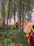 Огнеборцы из Тюменской области помогли остановить крупное возгорание в Югре