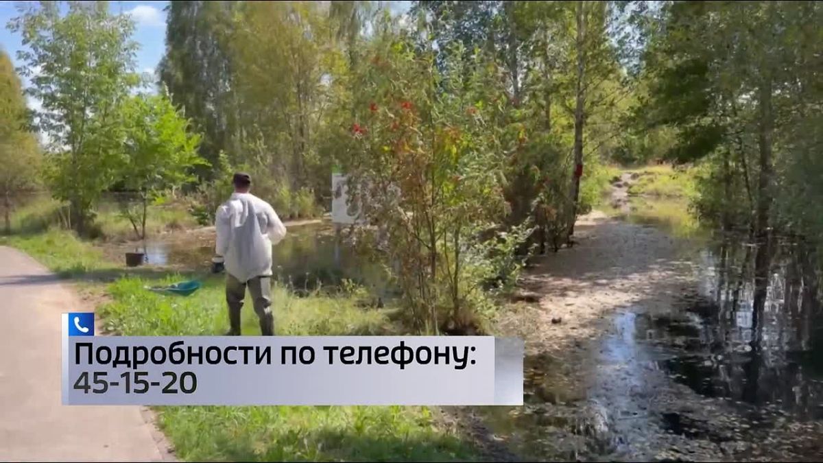 До тла. Почти тонну погибшей рыбы собрали в Тюмени за два дня