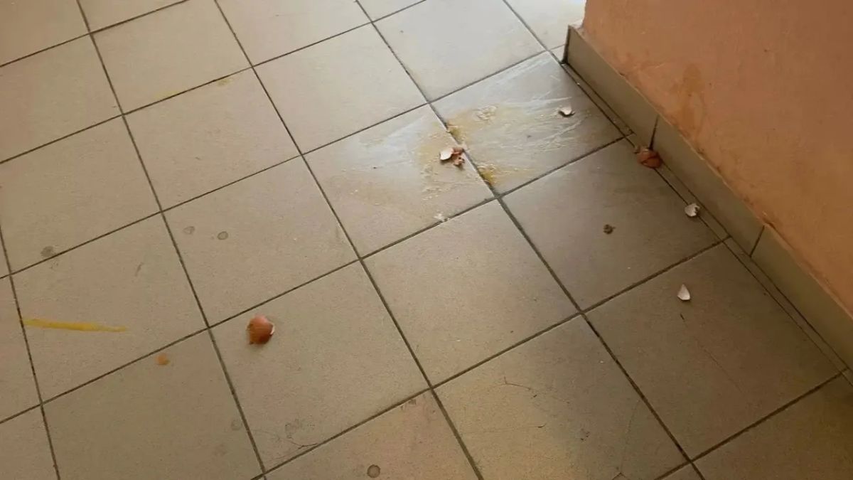 Кошмар в подъезде: жильцы дома на Лесобазе страдают изза агрессивной соседки Кошмар в подъезде: жильцы дома на Лесобазе страдают изза агрессивной соседки
