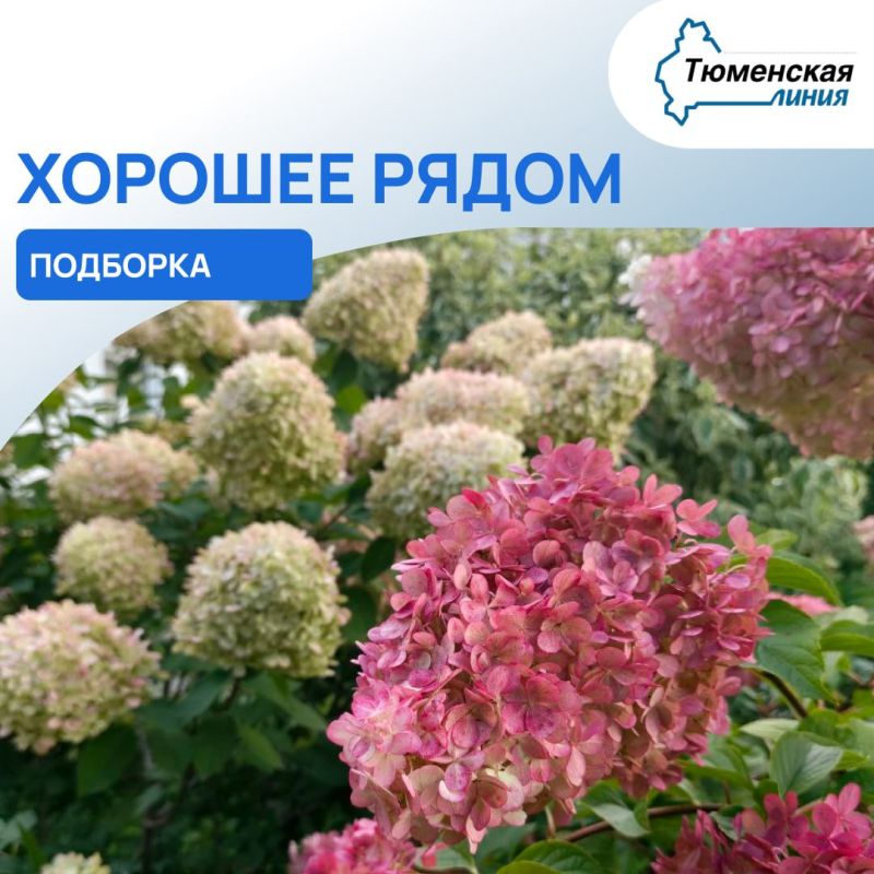 Хорошее рядом. В новостном потоке легко пропустить важное