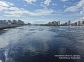 Депутаты Госдумы от Тюменской области призвали проверить свердловские предприятия, загрязняющие Туру