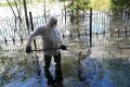 В областной столице на этой неделе стартовала масштабная работа по сбору мёртвой рыбы