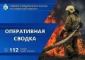 За минувшие сутки в Тюменской области: