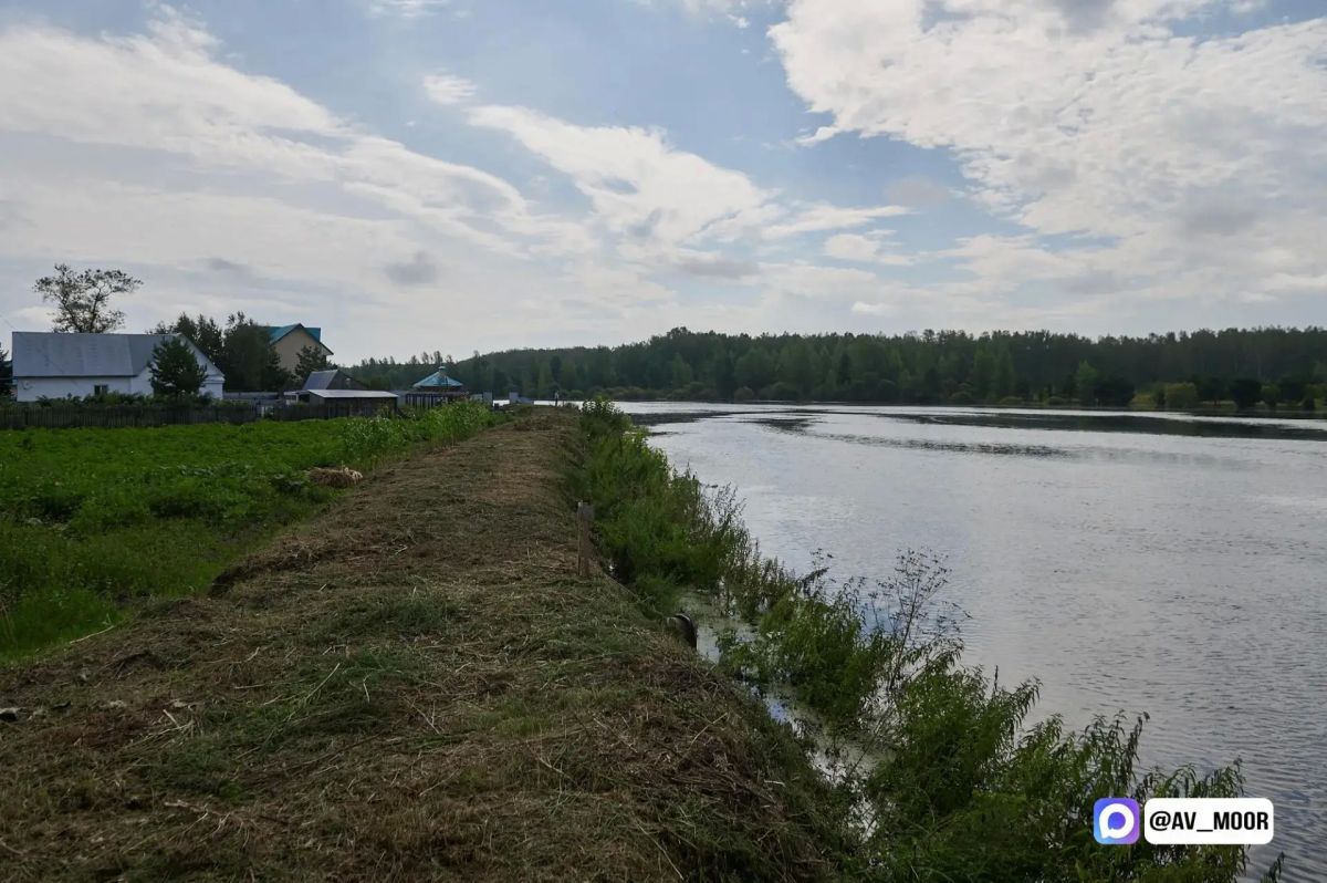 Уровень воды снижается. За сутки Тура в Тюмени упала на 6 см (874 см), Тавда — на 3 см (934 см)