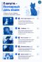Сегодня, 8 августа, отмечается Всемирный день кошек!