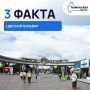 3 факта о Цветном бульваре в Тюмени, которые могут вас удивить