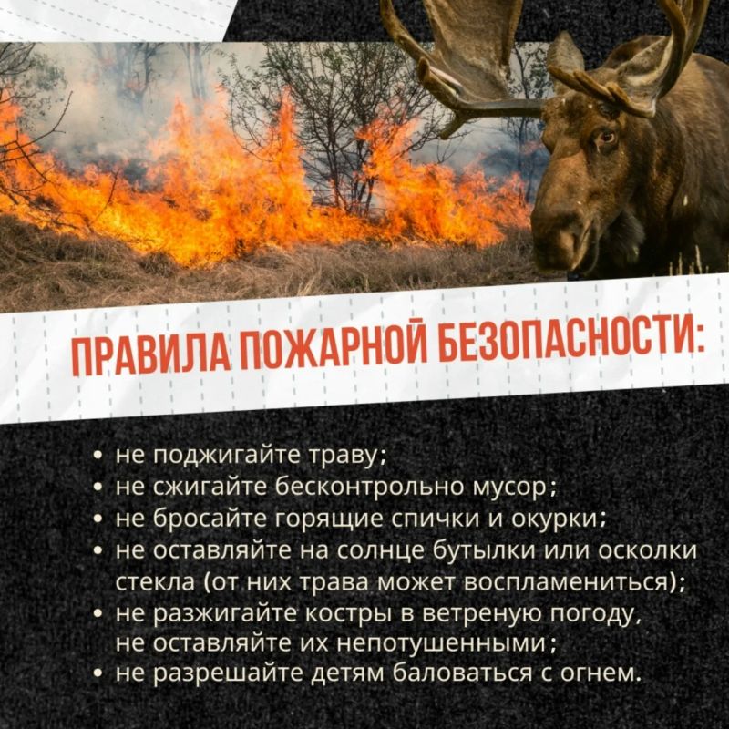 Трава — не дрова!. Сжигание сухой растительности — это риск, который ничем не оправдан Трава — не дрова!. Сжигание сухой растительности — это риск, который ничем не оправдан