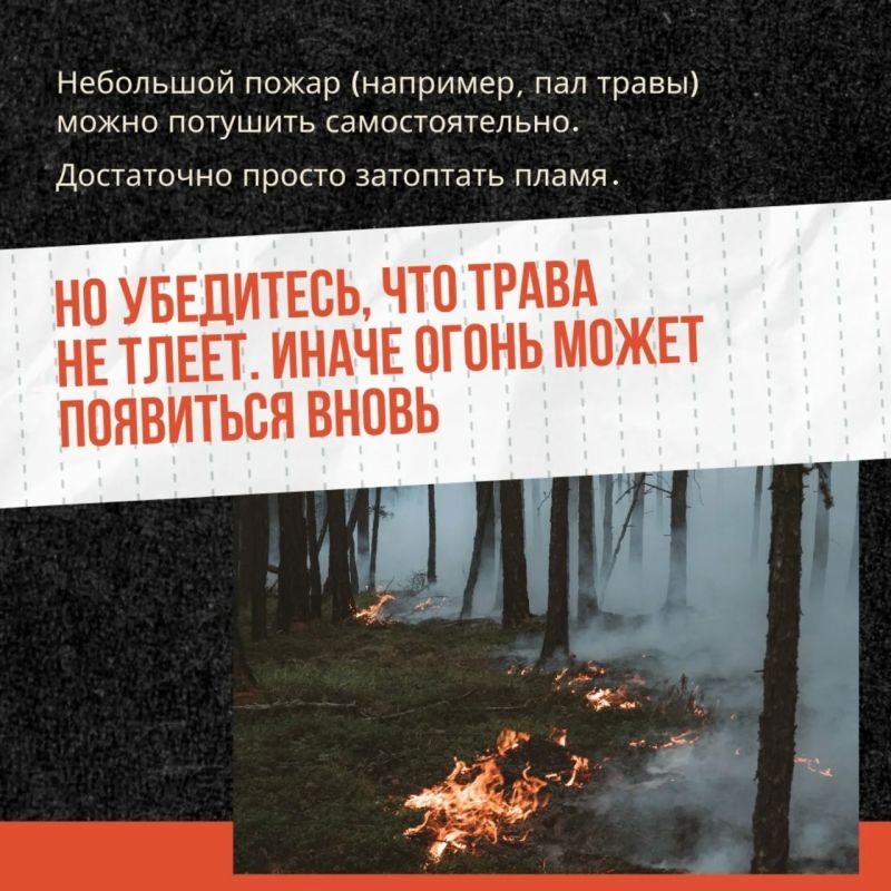 Трава — не дрова!. Сжигание сухой растительности — это риск, который ничем не оправдан Трава — не дрова!. Сжигание сухой растительности — это риск, который ничем не оправдан