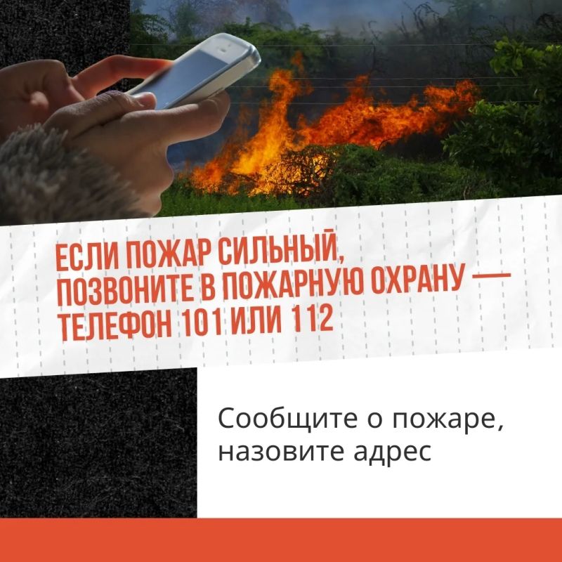 Трава — не дрова!. Сжигание сухой растительности — это риск, который ничем не оправдан Трава — не дрова!. Сжигание сухой растительности — это риск, который ничем не оправдан