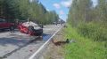 Семья из Сургута попала в смертельное ДТП под Ярково