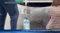 ������ ����. � ������ � ��������� ������ ���������� �������� ���������� ������ ������ ����